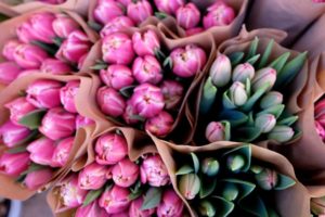 Aus Liebe zu Blumen – zu Besuch im Blumenladen. Ein Porträt über Claudia Lange und ihre Küchenblume und eine Liebeserklärung an das Handwerk.
