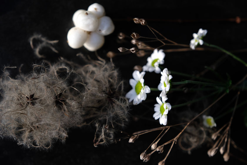 Schneebeeren, Waldrebe und getrocknet Gräser passen hübsch zu weißen Blüten