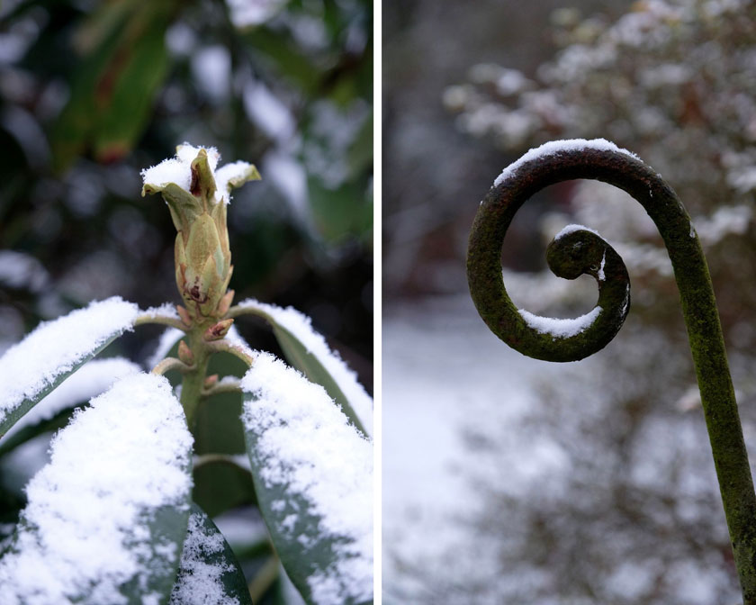 Weiß wie Schnee - Dekoration mit weißen Blumen