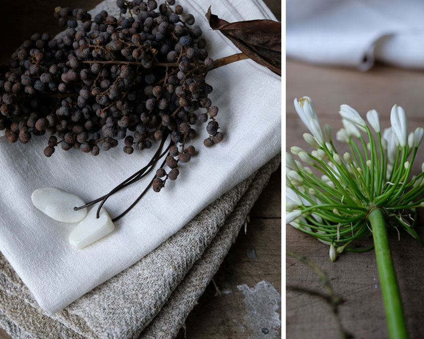 Getrocknete Datteln und weißer Agapanthus