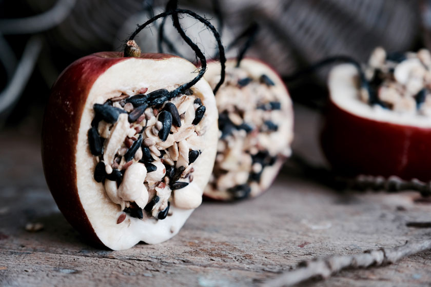 DIY: Vogelfutter in ausgehöhlten Äpfeln