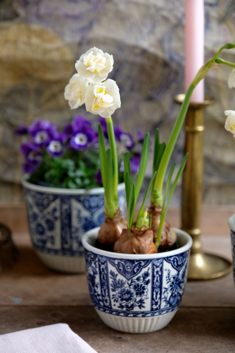 Rüblitorte mit Zitronencreme und kandierten Blüten - Der blaue Distelfink