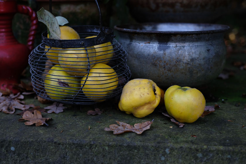 Quittentarte - so schmeckt der Herbst